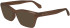 FERRAGAMO SF2986 sunglasses in Transparent Brown