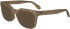 FERRAGAMO SF2990 sunglasses in Transparent Light Brown