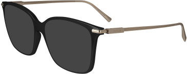 FERRAGAMO SF2992 sunglasses in Black