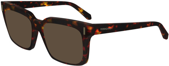 FERRAGAMO SF2993 sunglasses in Dark Tortoise