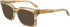 FERRAGAMO SF2993 sunglasses in Striped Sand