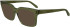 FERRAGAMO SF2993 sunglasses in Transparent Khaki