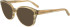 FERRAGAMO SF2994 sunglasses in Striped Sand