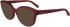FERRAGAMO SF2994 sunglasses in Transparent Burgundy