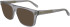 FERRAGAMO SF2997 sunglasses in Light Crystal Grey