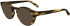 FERRAGAMO SF2998 sunglasses in Striped Brown