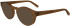 FERRAGAMO SF2998 sunglasses in Transparent Brown
