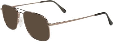Flexon AUTOFLEX 44-55 sunglasses in Brown