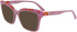 Karl Lagerfeld KL6130 sunglasses in Rose/Marble