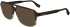 Karl Lagerfeld KL6156 sunglasses in Brown/Striped Brown