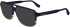 Karl Lagerfeld KL6156 sunglasses in Blue/Striped Brown