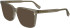 Karl Lagerfeld KL6157 sunglasses in Light Brown