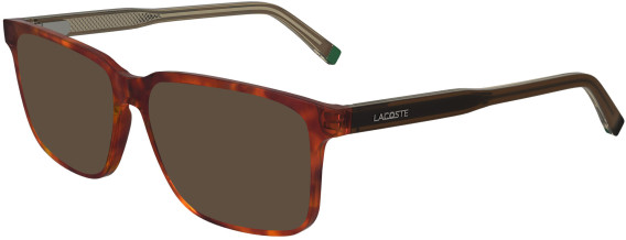 Lacoste L2946 sunglasses in Havana Brown