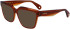Lanvin LNV2643 sunglasses in Transparent Amber