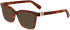 Lanvin LNV2647 sunglasses in Amber Tortoise