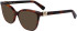 Lanvin LNV2648 sunglasses in Tortoise