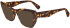 Lanvin LNV2656 sunglasses in Dark Tortoise