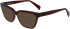 Liu Jo LJ2796 sunglasses in Brown