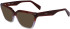 Liu Jo LJ2801-53 sunglasses in Gradient Mahogany/Violet