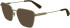Longchamp LO2164 sunglasses in Deep Gold
