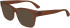 Longchamp LO2737 sunglasses in Transparent Rust
