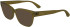 Longchamp LO2738 sunglasses in Transparent Brown