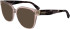 Longchamp LO2745 sunglasses in Transparent Rose/Havana