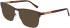 Marchon NYC M-2031 sunglasses in Matte Brown