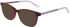 Marchon NYC M-5029-50 sunglasses in Crystal Cranberry