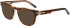 Nike NIKE 7175 sunglasses in Soft Tortoise/Amber Laminate