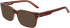 Nike NK7174 sunglasses in Cedar/Amber Laminate