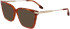 Victoria Beckham VB2657 sunglasses in Amber Horn