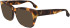 Victoria Beckham VB2660 sunglasses in Tortoise