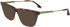 Victoria Beckham VB2663 sunglasses in Tortoise