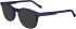 Zeiss ZS23537 sunglasses in Blue Horn