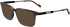 Zeiss ZS23718 sunglasses in Matte Tortoise
