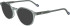 Zeiss ZS24542 sunglasses in Transparent Light Grey