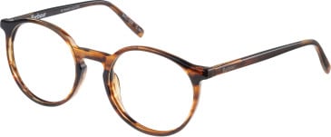 Barbour BAO-1002 glasses in Horn
