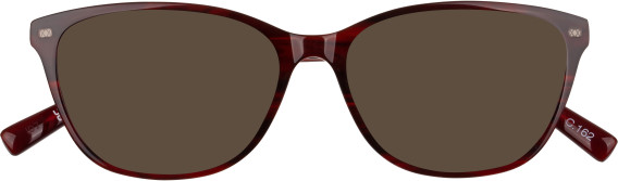 Barbour BAO-1012 Sunglasses in Horn Burgundy