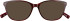 Barbour BAO-1012 Sunglasses in Horn Burgundy