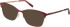 Barbour BAO-1013 Sunglasses in Matt Burgundy