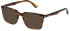 Police VPLG73-53 sunglasses in Shiny Striped Brown