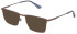 Police VPLG75-57 sunglasses in Shiny Satin Bronze