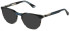 Police VPLL70 sunglasses in Striped Blue/Grey