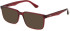 Police VPLN17-54 sunglasses in Shiny Transparent Bordeaux Red