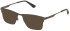 Police VPLN18 sunglasses in Shiny Gun/Sandblasted