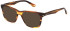 Police VPLN19-53 sunglasses in Shiny Striped Brown