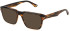 Police VPLN20 sunglasses in Shiny Striped Brown