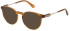 Police VPLF10 sunglasses in Shiny Transparent Ochre