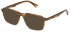 Police VPLG74 sunglasses in Brown Gradient Grey